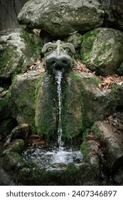 Мистическое величие: фонтан в виде дракона, появляющийся в зачарованном лесном оазисе, окруженный пышными зелеными камнями, покрытыми мхом, стихийный, вдохновленный природой, причудливый