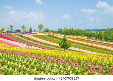Shikisai no Oka, Biei Town, Hokkaido