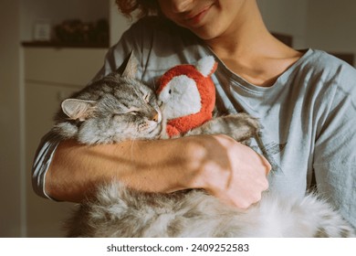 kucing abu-abu tidur dengan manis dan memeluk anak kucing merah muda. Hewan peliharaan. Kucing kecil dari dekat. Masa kecil. Kucing beristirahat di pelukan gadis remaja