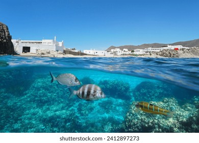 Pueblo de España a orillas del mar Mediterráneo con peces bajo el agua, vista dividida mitad por encima y por debajo del agua, escena natural, Almería, Andalucía, La Isleta del Moro