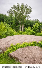 La guarida del diablo en el parque militar nacional de Gettysburg, campo de batalla de la Guerra Civil estadounidense, en Gettysburg, Pensilvania, EE. UU.