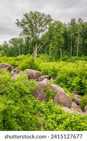 La guarida del diablo en el parque militar nacional de Gettysburg, campo de batalla de la Guerra Civil estadounidense, en Gettysburg, Pensilvania, EE. UU.