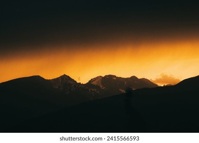 Rustikale Wurzeln Stock Fotografie Montana