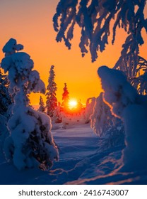 色鮮やかな夕焼けの中、大量の雪が積もる冬のラップランド