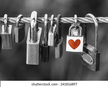 Padlocks with heart shape on rope bridge over black and white background, Valentines day concept.