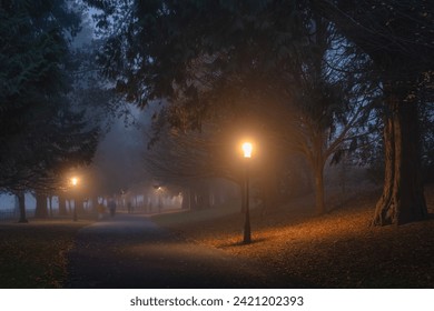 Blurred people, family, that walks in thick fog, on road surrounded by trees and illuminated by street lamps in Phoenix Park, Dublin, Ireland