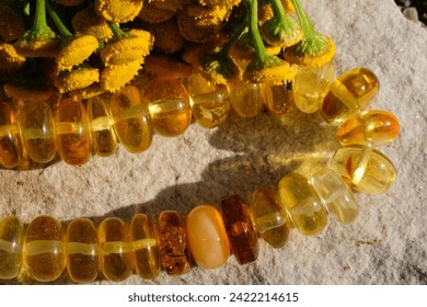 Ambar Baltik semulajadi dan tansy mekar.