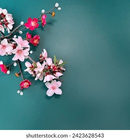 Blossoming almond and red plum flowers on square dark emerald green paper background.