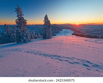 ベスキド・ジヴィエツキエ山脈の冬の夕日。この場所はハラ・レディカルナと呼ばれています。夕日の暖かい色が雪と雪に覆われた木々を照らします。