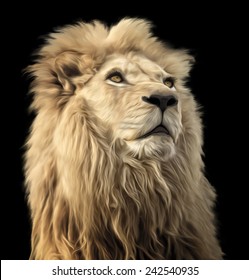 A digital oil painting of a majestic and proud Lion on a black background.