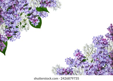 Lentebloemenhoekarrangement. Bloeiende lila bloemen als een frame geïsoleerd op een witte achtergrond. Ontwerpelement voor het maken van ansichtkaarten, trouwkaarten en uitnodigingen. Overlay-achtergrond.