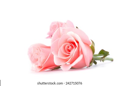 roze roze bloem op witte achtergrond