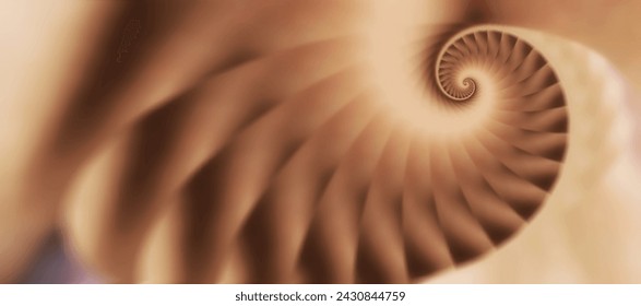 the Fibonacci spiral, the divine proportion,