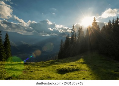 Splendido paesaggio estivo di foreste montane. Raggi di sole del primo mattino sulla foresta di abeti rossi e sulle splendide montagne verdi.