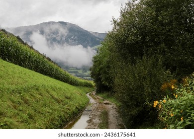 modderige onverharde weg na de regen met een mistige berg en laag hangende wolken in de verte
