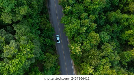 Vue de dessus d'une voiture électrique blanche circulant sur une route forestière vert foncé, une route surélevée qui entoure une forêt naturelle. Concept d'utilisation de voitures électriques pour protéger l'environnement et les transports.