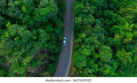 Top view of a white electric car driving  dark green forest road, which is an elevated road that surrounds natural forest. Concept of using electric cars to protect the environment and transportation.