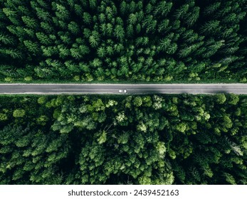 Vue aérienne de la forêt verte d'été et de la route asphaltée avec voiture, voyage en voiture.