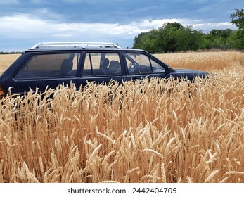 off road vehicle, car, truck, vehicle, old, vintage, classic, transportation, auto, abandoned, drive, transport, automobile, van, wreck, sky, road, jeep, rusty, 4x4, desert, wheel, retro, field, antiq
