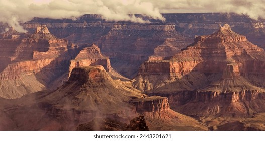 The grand canyon national Park · In a forested campground with beautiful view.