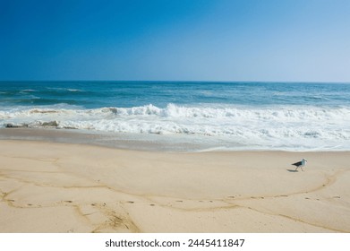 Dolga peščena plaža v Hamptonsih, Long Island, zvezna država New York, Združene države Amerike, Severna Amerika
