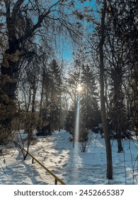Snowy park with a beautiful sunbeam shining through the trees.