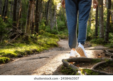 A girl tourist walks along a rocky path with roots from trees in a magical fairytale forest. View from the back of Hiking. Journey. USA. Vermont