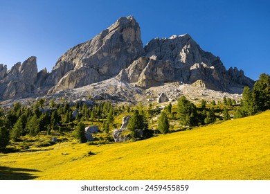 在陽光明媚的夏日，風景如畫的山地景觀俯瞰著福內拉山的岩石尖峰，周圍環繞著廣闊的高山草甸的綠樹。義大利多洛米蒂山迷人的自然風光