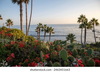 OC California، غروب الشمس، ساحلي، جمال، المحيط الهادئ، شاطئ، خط الساحل، نابض بالحياة، ألوان، أفق، ساعة ذهبية، أمواج المحيط، خلاب، خلاب، ساحلي، أشجار النخيل، منحدرات ساحلية، خلاب