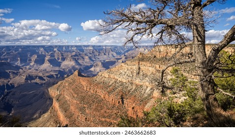 Dramatic view of the Grand Canyon from Pipe Creek Vista on Desert view drive on the South Rim, Arizona, USA on 28 April 2024