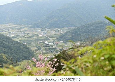 เดินป่าชมทัศนียภาพตามเส้นทาง Denggao ใน Yuanshan, Yilan และชมทัศนียภาพอันน่าทึ่งของชนบทอันเงียบสงบของเมืองซึ่งประดับประดาด้วยดอกซากุระสีสันสดใสที่บานสะพรั่งในช่วงฤดูใบไม้ผลิ