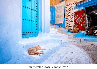 Night in Medina alleys and stairs of Chefchaouen, the famous Blue Pearl of Morocco or Blue City. Chaouen is noted for its buildings in shades of blue, UNESCO heritage