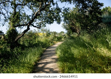 Coyote Trail v Rancho San Antonio County Park a Open Space Preserve, Venkovská přírodní rezervace s 25 mil turistickými stezkami, plus fungující farma a start modelu letadla v Cupertinu v Kalifornii
