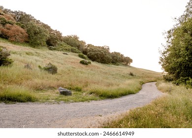 Prázdná stezka v Rancho San Antonio County Park a Open Space Preserve, venkovská přírodní rezervace s 25 mil turistickými stezkami, plus fungující farma a start modelu letadla v Cupertinu v Kalifornii