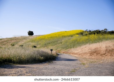 Prázdná stezka v Rancho San Antonio County Park a Open Space Preserve, venkovská přírodní rezervace s 25 mil turistickými stezkami, plus fungující farma a start modelu letadla v Cupertinu v Kalifornii