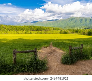 Hiking Trail Through Green Meadow With The Smoky Mountains on The Cades Cove Loop, Great Smoky Mountains National Park, Tennessee, USA