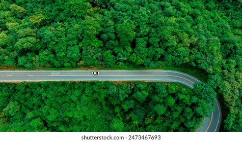 Top view of a white electric car driving  dark green forest road, which is an elevated road that surrounds natural forest. Concept of using electric cars to protect the environment and transportation.