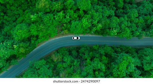 Top view of a white electric car driving  dark green forest road, which is an elevated road that surrounds natural forest. Concept of using electric cars to protect the environment and transportation.