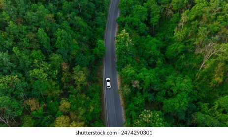 Vue de dessus d'une voiture électrique blanche circulant sur une route forestière vert foncé, une route surélevée qui entoure une forêt naturelle. Concept d'utilisation de voitures électriques pour protéger l'environnement et les transports.