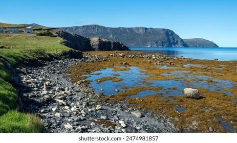 Rocks and kelps at low tide in Rocky Harbour, Newfoundland. The town of Rocky Harbour is located on the west coast of Newfoundland in the heart of Gros Morne National Park.
