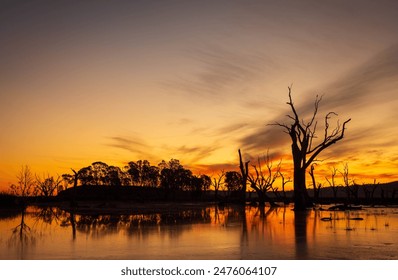 Silhouette dell'isola, degli alberi e della zona umida al tramonto.