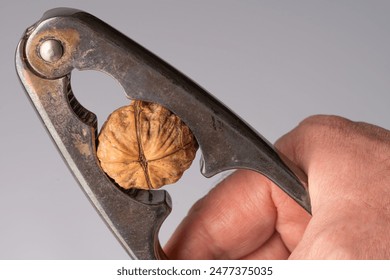 Crack a nut with a nutcracker