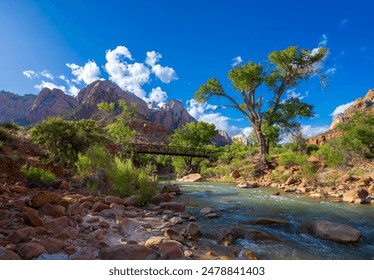 Rio fluindo nas montanhas. Rio Virgin, Trilha Pa'rus. ​​Parque Nacional de Zion, Springdale, Utah.