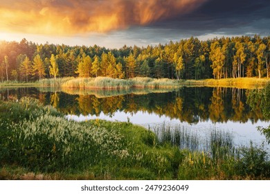 Unübertroffen ruhiger See im Morgenlicht, umgeben von einem Wald, Bäume spiegeln sich auf der Wasseroberfläche. Standort: Klein-Polissja, Ukraine, Europa. Fototapete. Entdecken Sie die Schönheit der Erde.