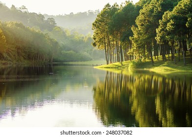 pang ung, weerspiegeling van dennenboom in een meer, meahongson, Thailand