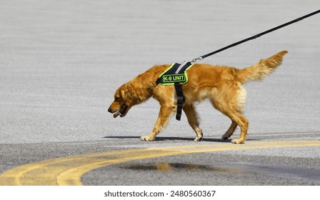 Firefighter Search and Rescue Dog while Training Exercise and text K-9 Unit