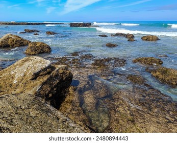 Colorful rocks with vegetation and marine life at low tide with waves and breakwater in the background, São Pedro da Cadeira PORTUGAL