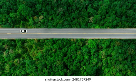 Top view of a white electric car driving  dark green forest road, which is an elevated road that surrounds natural forest. Concept of using electric cars to protect the environment and transportation.