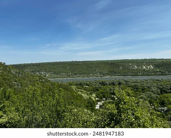 The forest is a complex and rich ecosystem, consisting of a multitude of species of trees, plants, animals and microorganisms that interact in a delicate balance.
