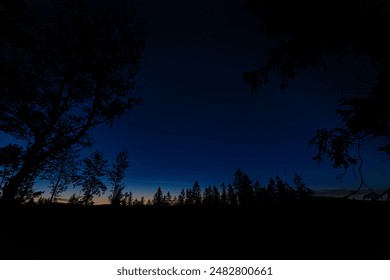 Cielo azul oscuro nocturno con silueta de árboles en las montañas Krusne antes del amanecer